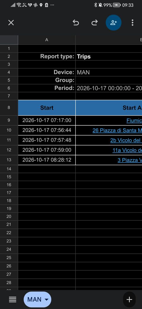 Rapporto scaricato in Excel
