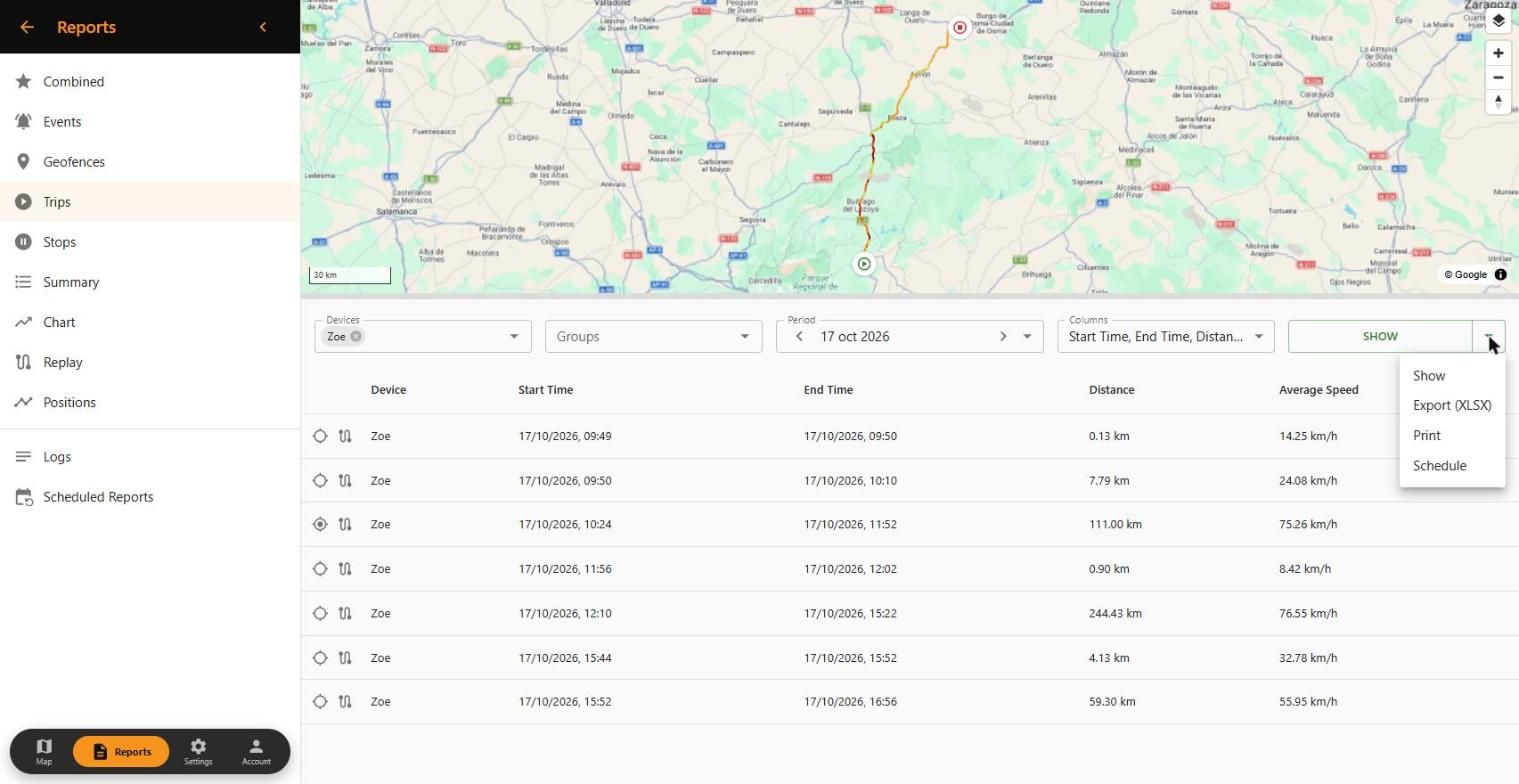 Export the report to Excel, print it or schedule it